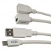 Mini Displayport To Usb Combo